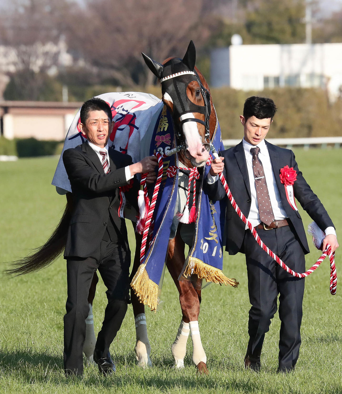 2019年2月、フェブラリーSで優勝したインティ