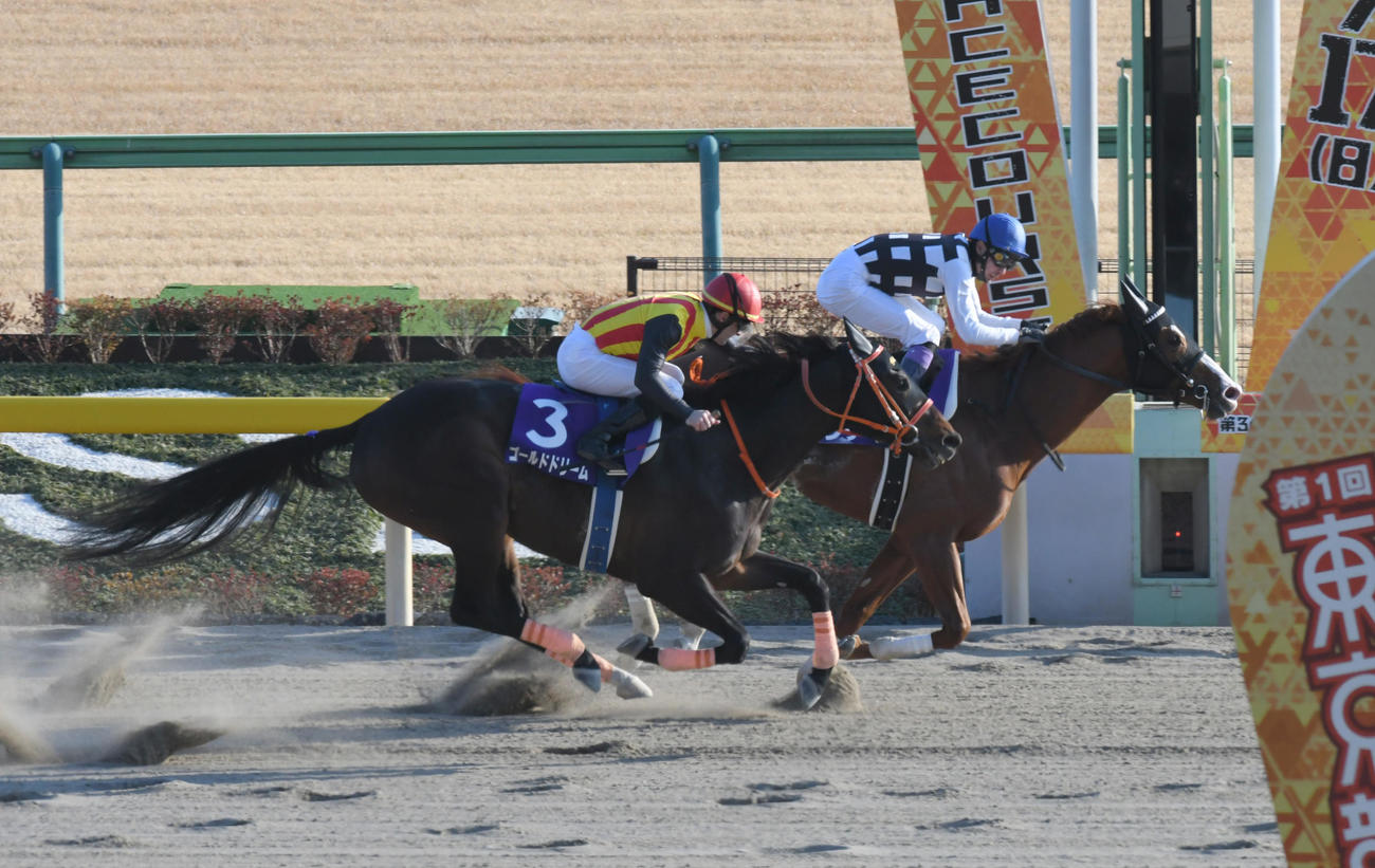 2019年2月、逃げたインティ（右）がゴールドドリームの追撃を首差抑えフェブラリーSを制した