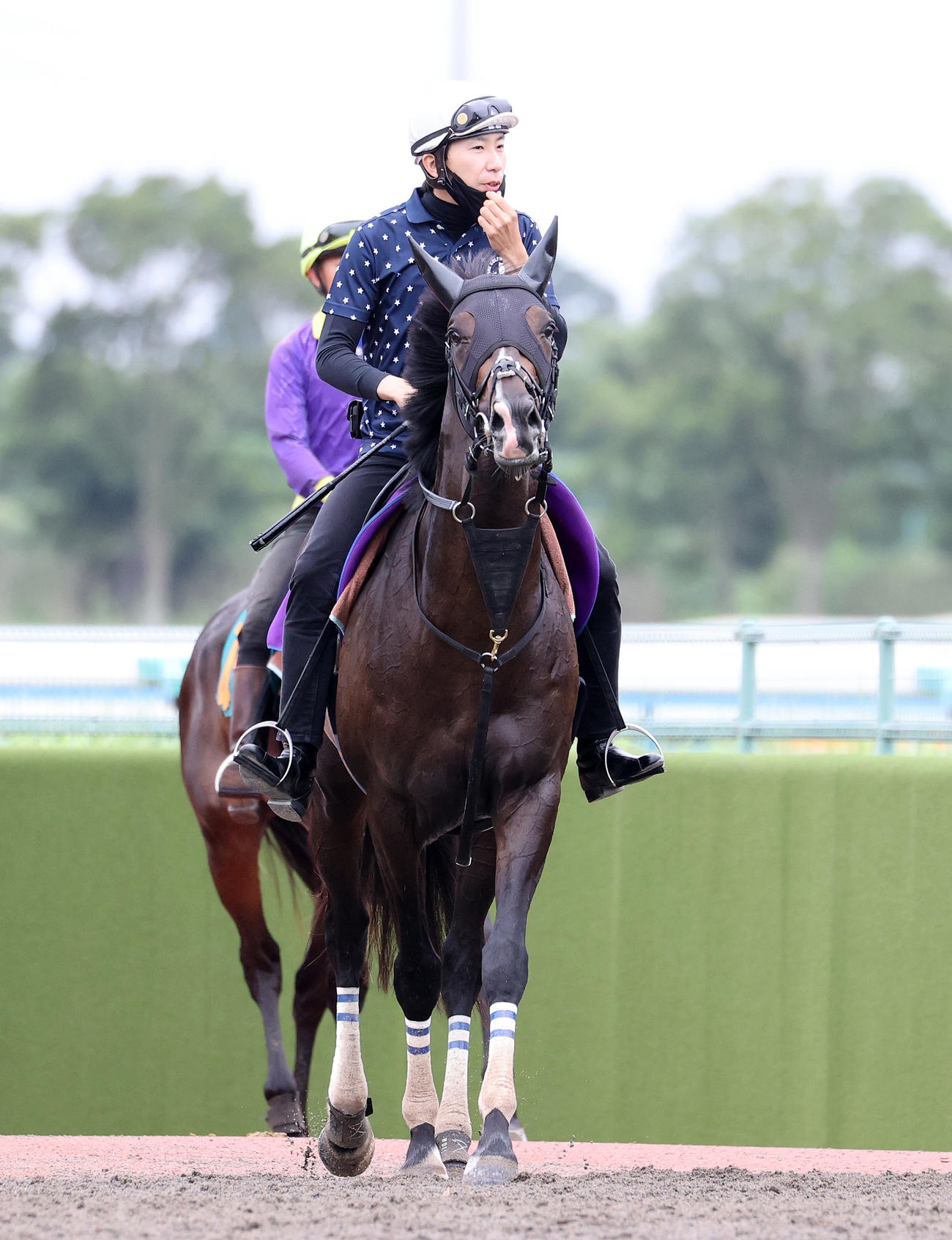 調教を終え引き揚げるタイトルホルダー、鞍上は横山和生騎手（撮影・鈴木正人）