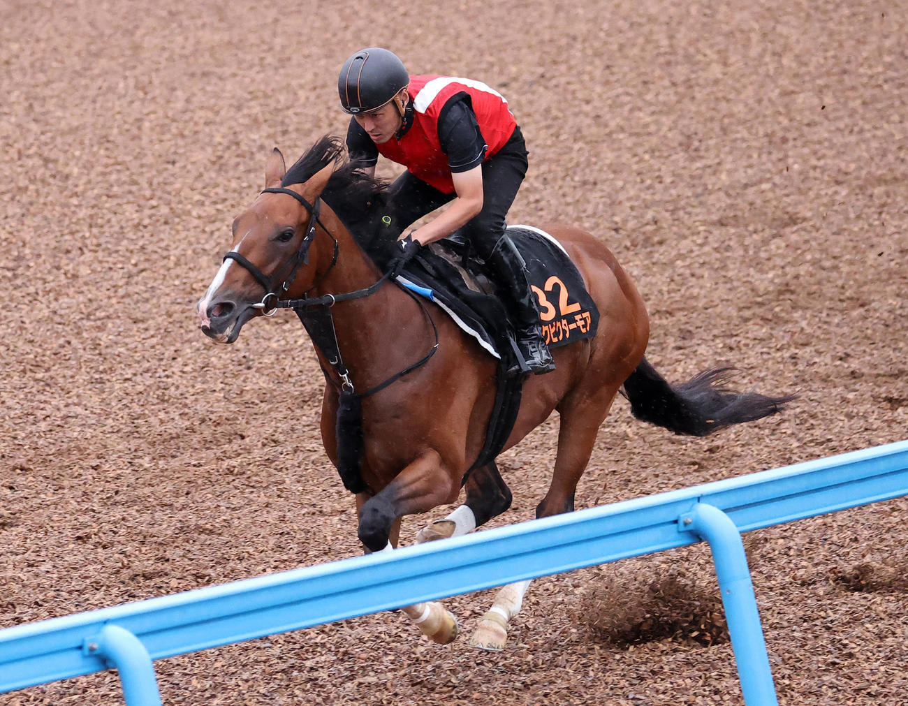 単走で美浦ウッドを追い切るアスクビクターモア（撮影・鈴木正人）