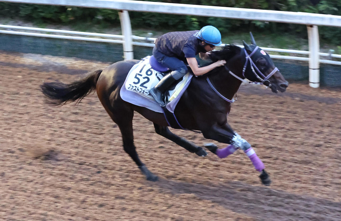 坂路にて併せ馬で追い切るファストフォース