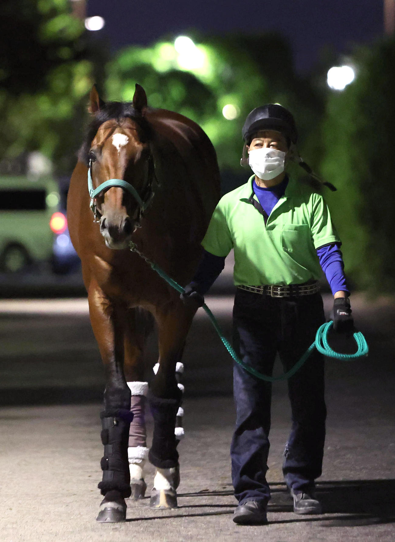 夜明け前の厩舎周りで運動するベレヌス（撮影・白石智彦）
