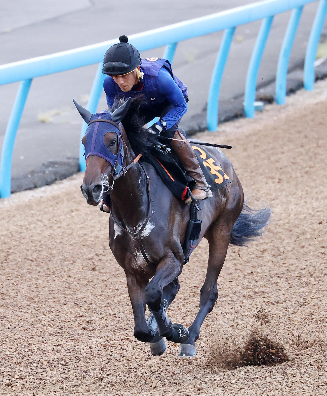 22年9月7日、美浦ウッドで追い切るサンカルパ