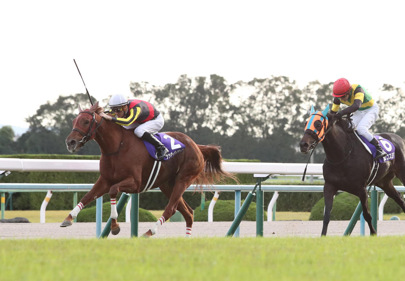 19年エリザベス女王杯をラッキーライラックで制したスミヨン騎手