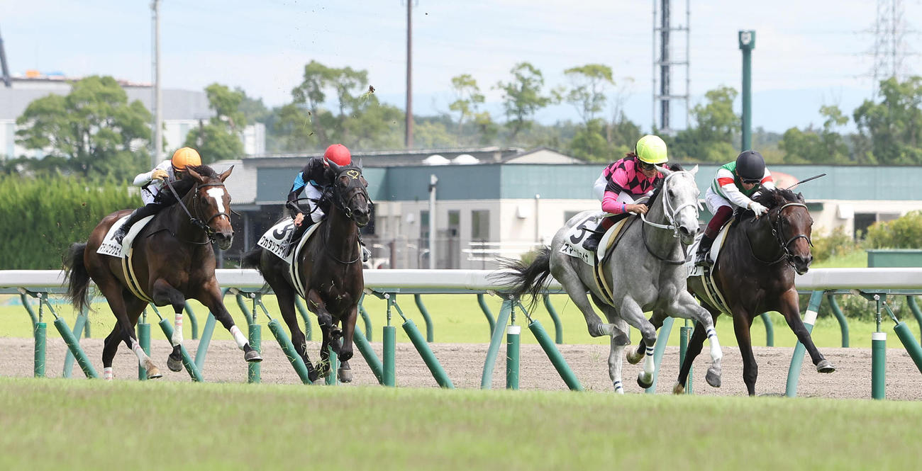 新馬戦を快勝したスマートジェイナと今村聖奈騎手（右から2頭目）（撮影・白石智彦）