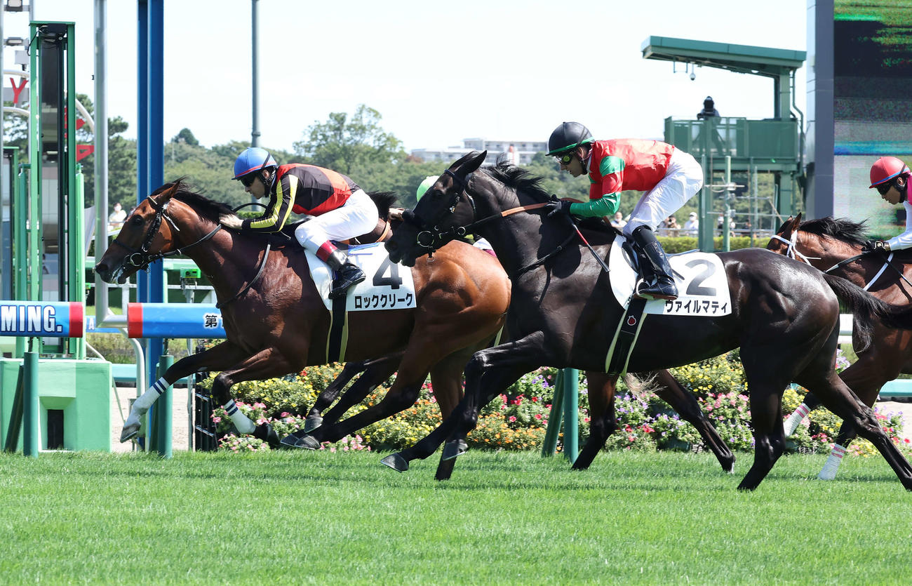 中山5R、新馬戦を制したロッククリーク（左）と2着のヴァイルマティ（撮影・丹羽敏通）