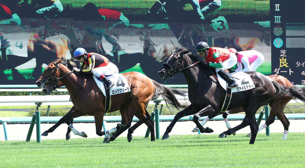 中山5R、新馬戦を制したロッククリーク（左）と2着のヴァイルマティ（撮影・丹羽敏通）
