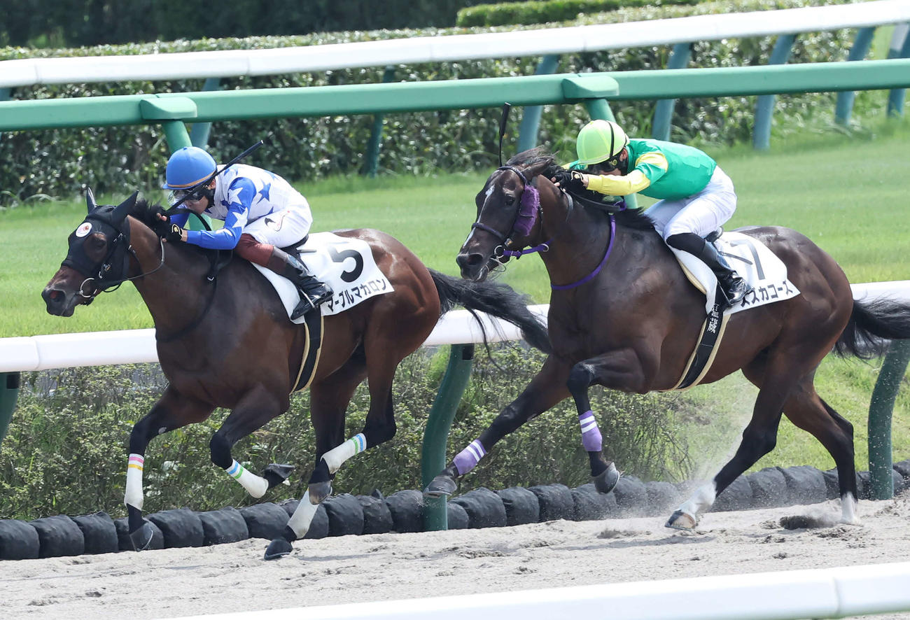 中山4R、新馬戦を制したマーブルマカロンと三浦皇成騎手（左）（撮影・丹羽敏通）