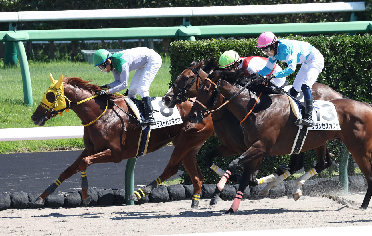 中山6Rを制したトラストパッキャオと大野拓弥騎手（左）（撮影・丹羽敏通）