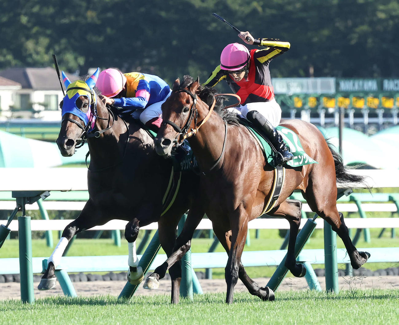サウンドビバーチェ（左）を抑えて、紫苑Sを制したスタニングローズと坂井騎手（撮影・丹羽敏通）