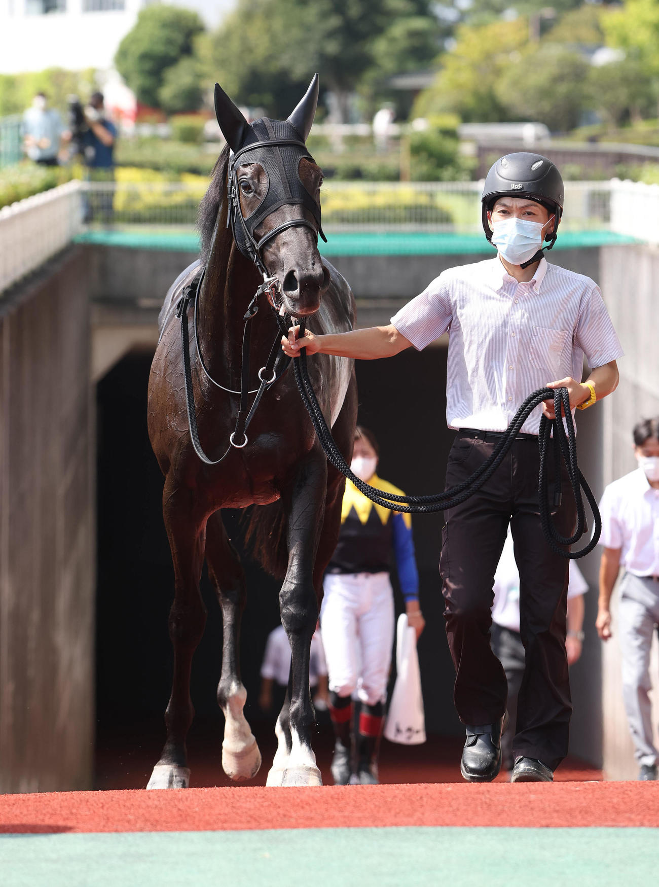 中京2R・2歳未勝利を制したトゥーテイルズ（撮影・白石智彦）
