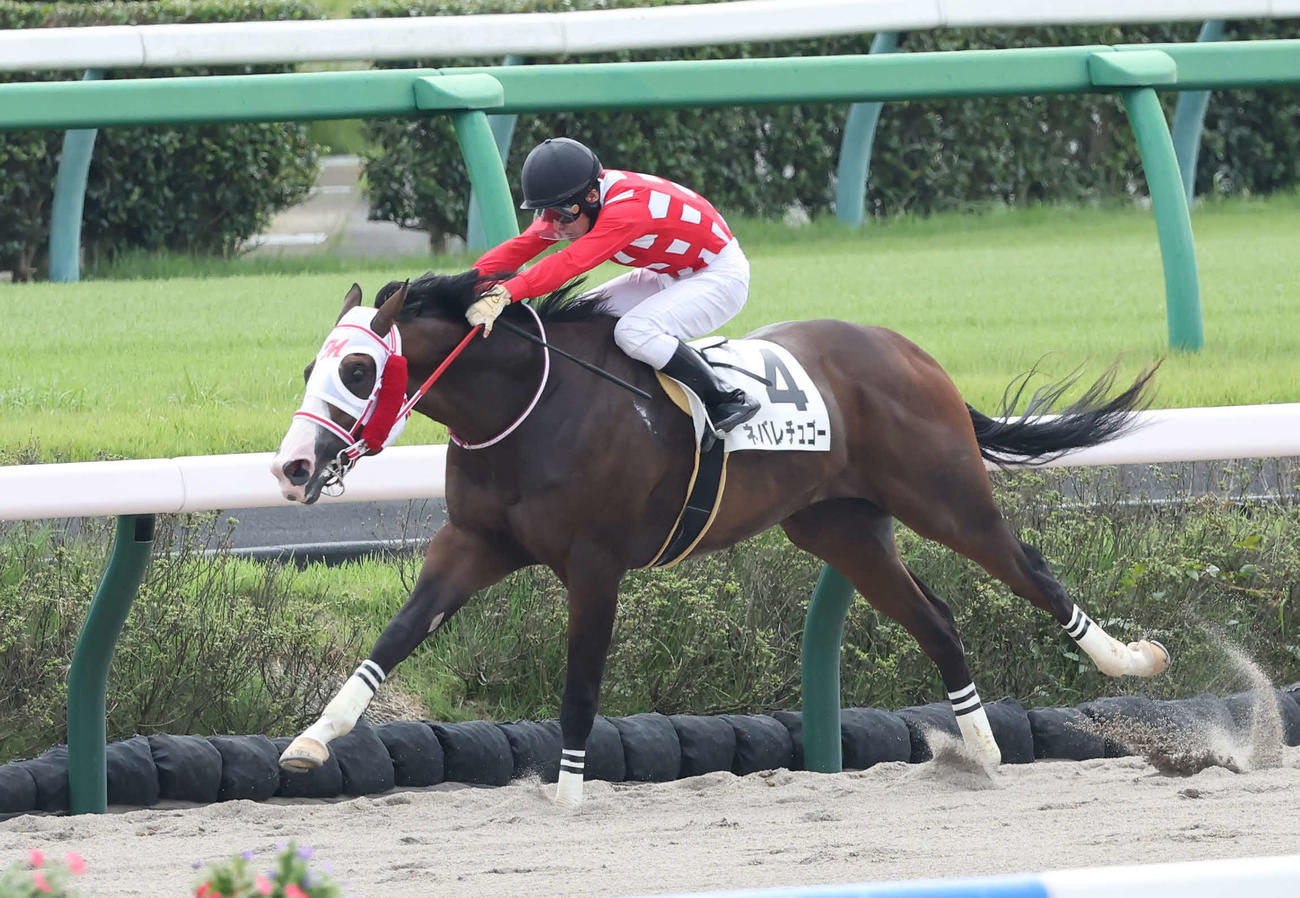 中山1R、2歳未勝利戦を制したネバレチュゴーと水沼騎手（撮影・丹羽敏通）