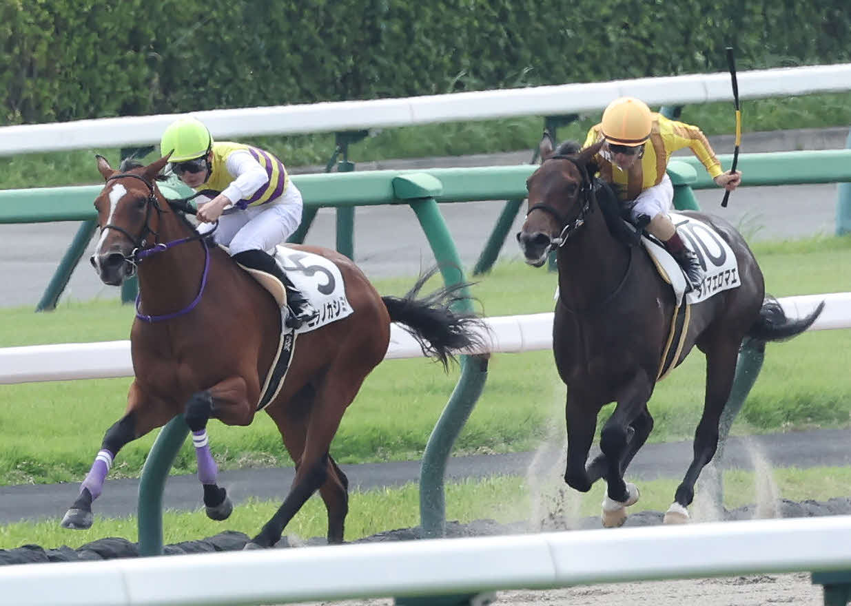 中山3R、新馬戦を制したタルマエロマエとM・デムーロ騎手（右）（撮影・丹羽敏通）