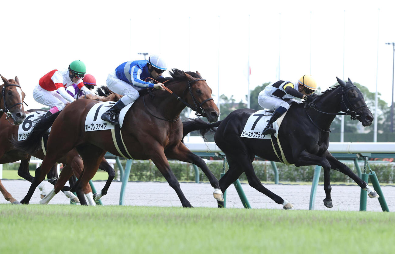中京5R、豪快に追い込んで新馬戦を制したオープンファイア（左）（撮影・白石智彦）