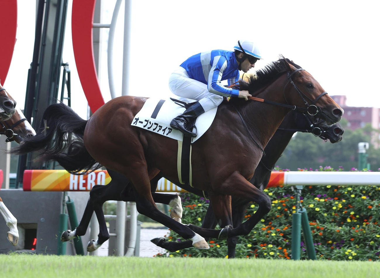 中京5R、豪快に追い込んで新馬戦を制したオープンファイア（撮影・白石智彦）