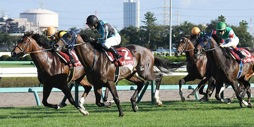 直線追い込んだアサマノイタズラが、ソーヴァリアント(左)を首差捕らえ優勝。(2021年、中山競馬場)
