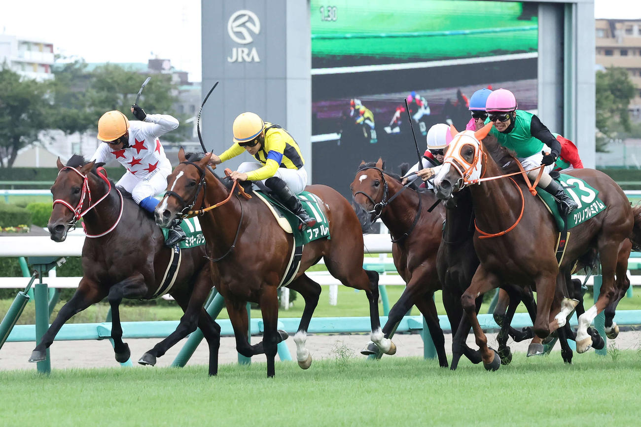 京成杯AHを制したファルコニアと吉田隼騎手（左から2頭目）。左端は2着ミッキーブリランテ