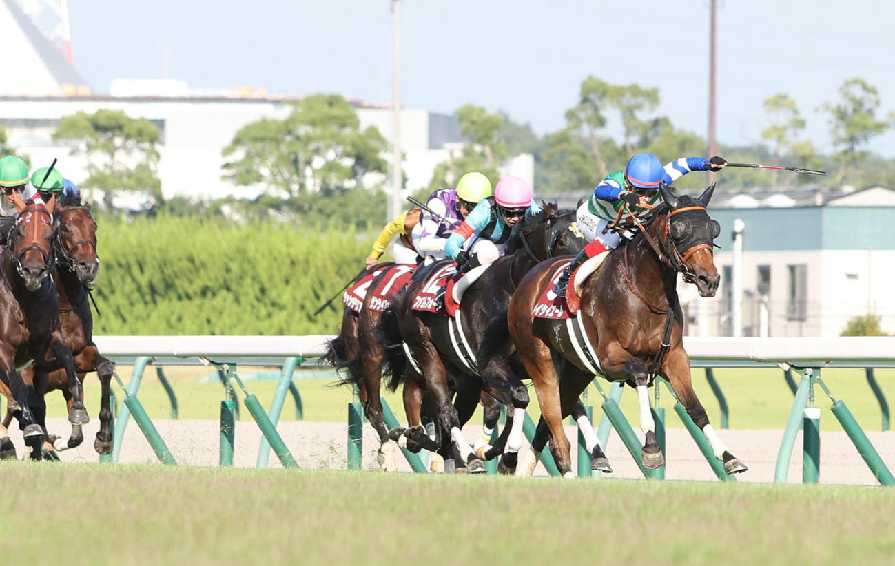 メイケイエール（右）がレコードタイムでセントウルSを制した（撮影・白石智彦）