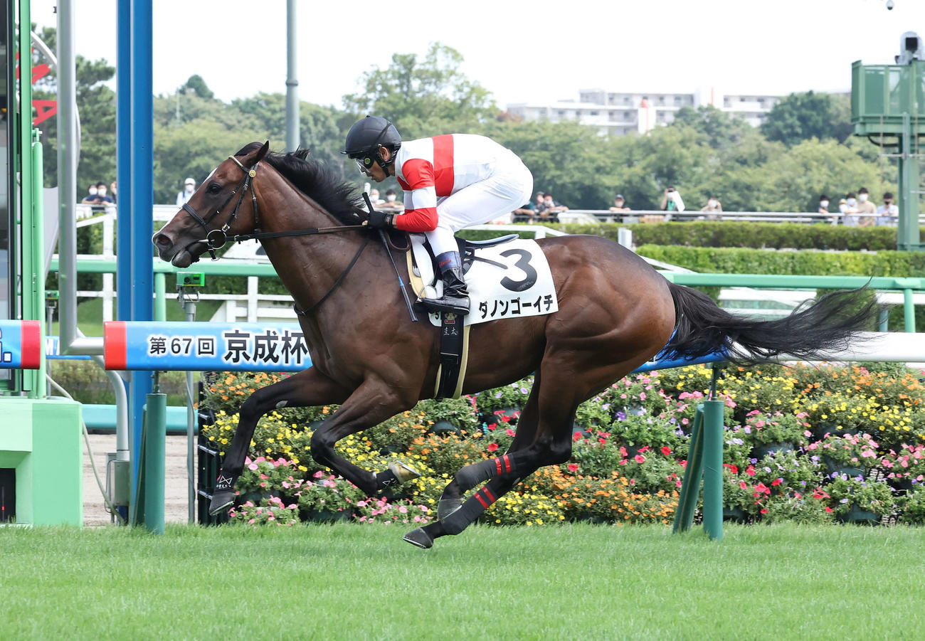 中山5R、2歳新馬戦を制したダノンゴーイチと戸崎騎手（撮影・丹羽敏通）