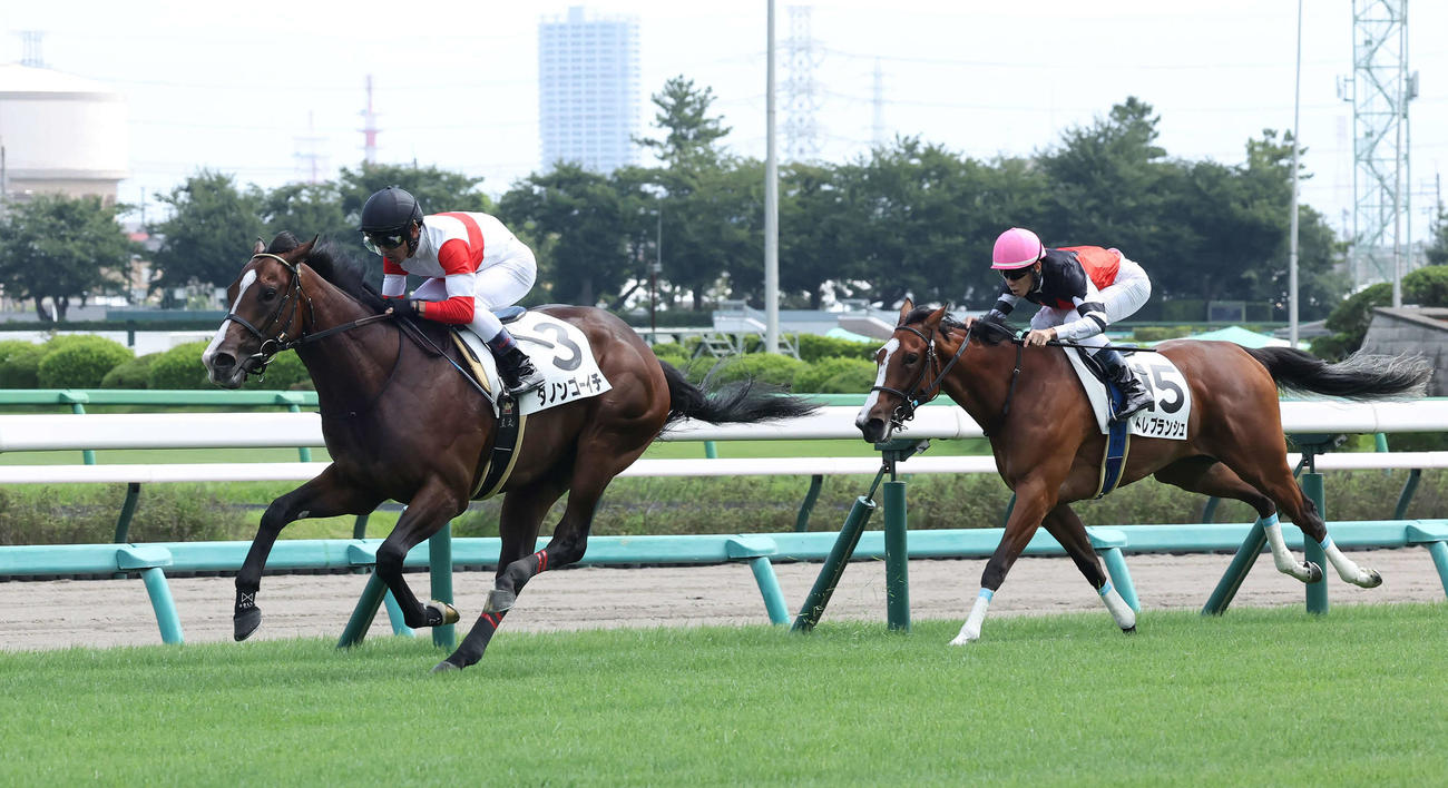 中山5R、2歳新馬戦を制したダノンゴーイチと戸崎騎手（左）（撮影・丹羽敏通）