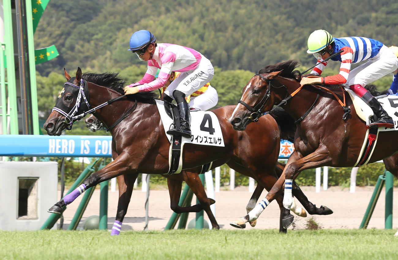 小倉で未勝利戦を勝ち上がったクインズエルサ（22年8月20日撮影）
