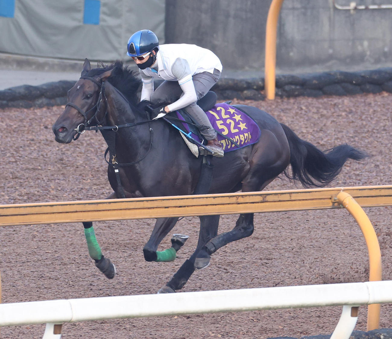 松山騎手を背にCウッドで追い切るデアリングタクト