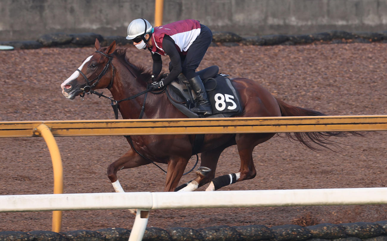 Cウッドコースで追い切るアートハウス