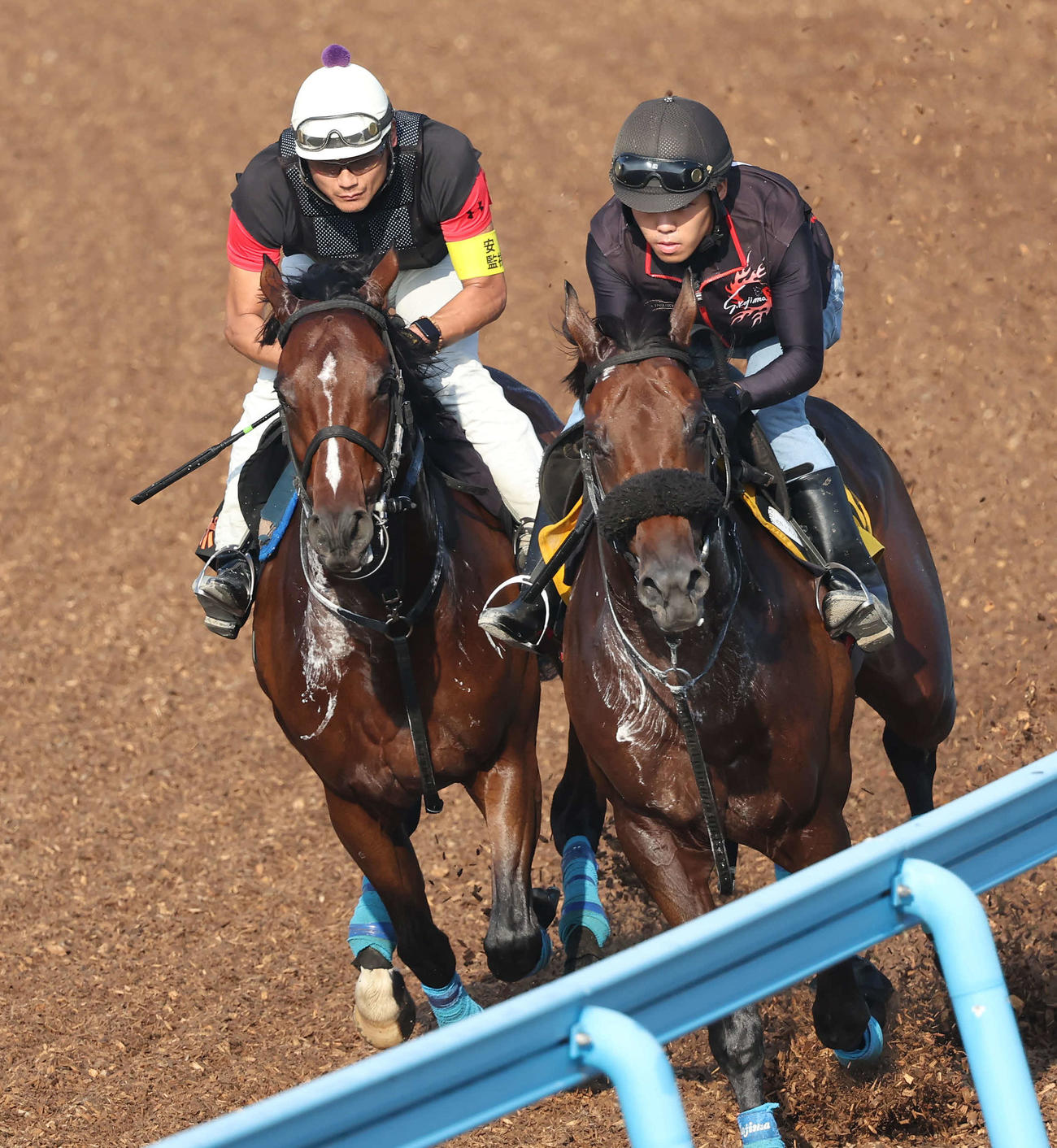 オニャンコポン（左）は小島師を背に美浦ウッドでルフィアンキックと併せて追い切られた（撮影・丹羽敏通）