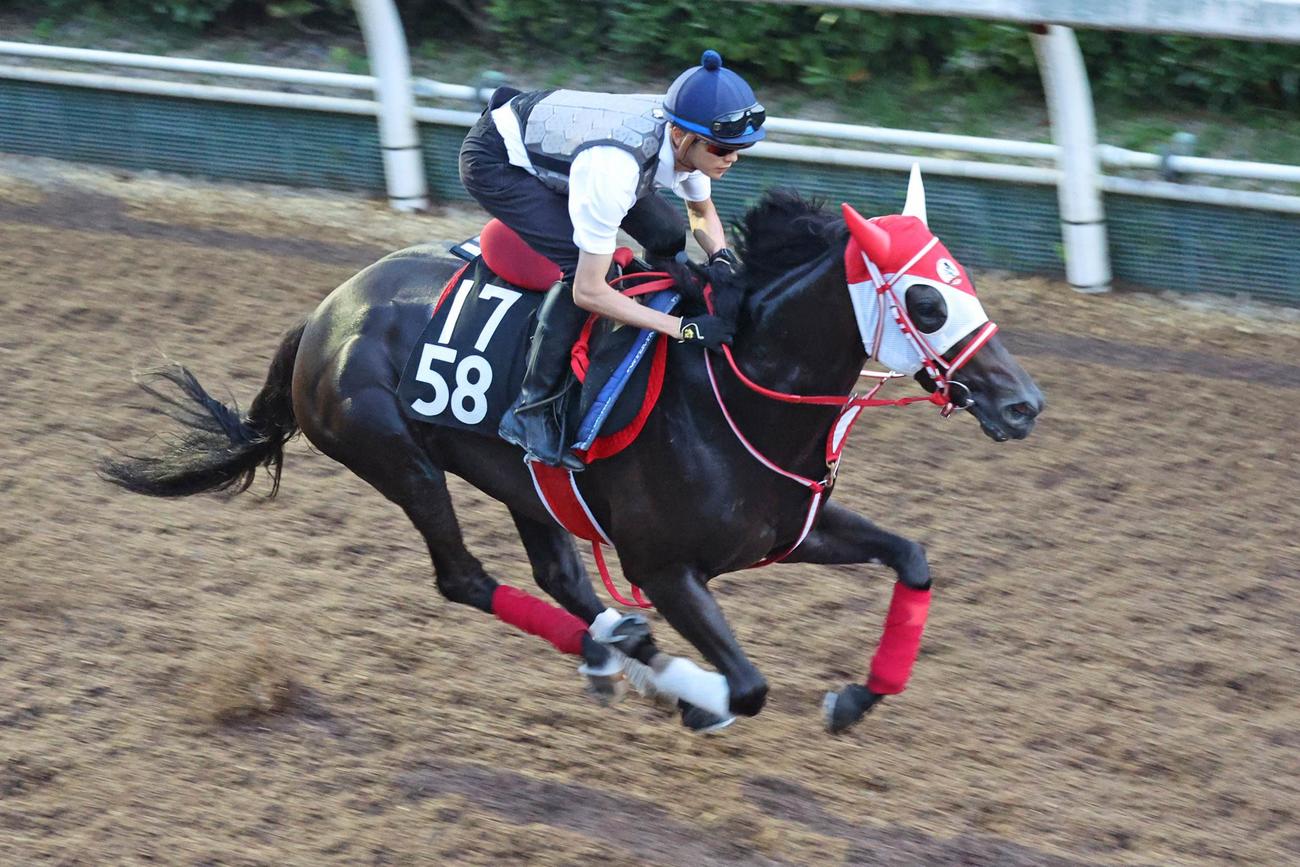 坂井騎手が騎乗し、弾むフットワークで坂路を駆け上がるラリュエル