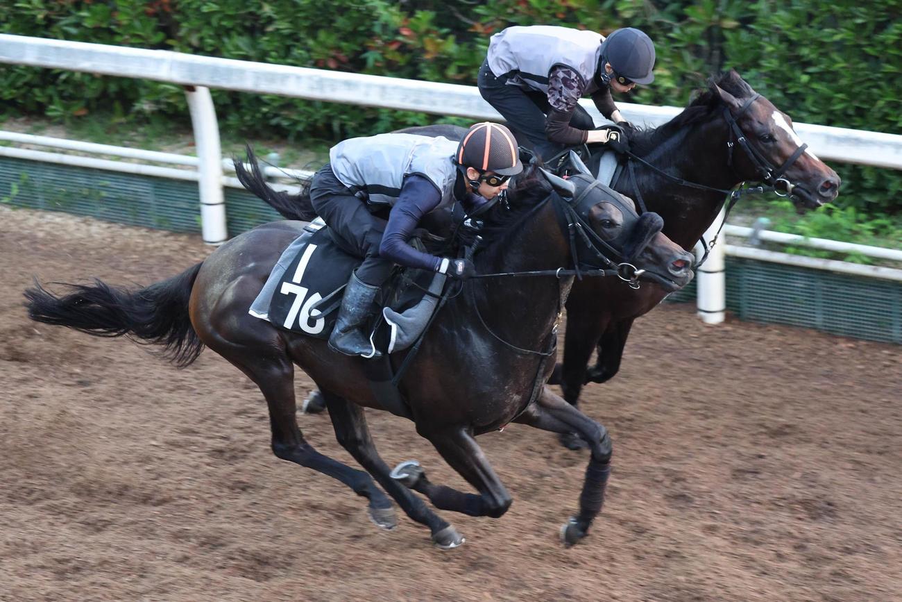 坂路コース併せ馬で速い時計を出したエグランタイン（左）
