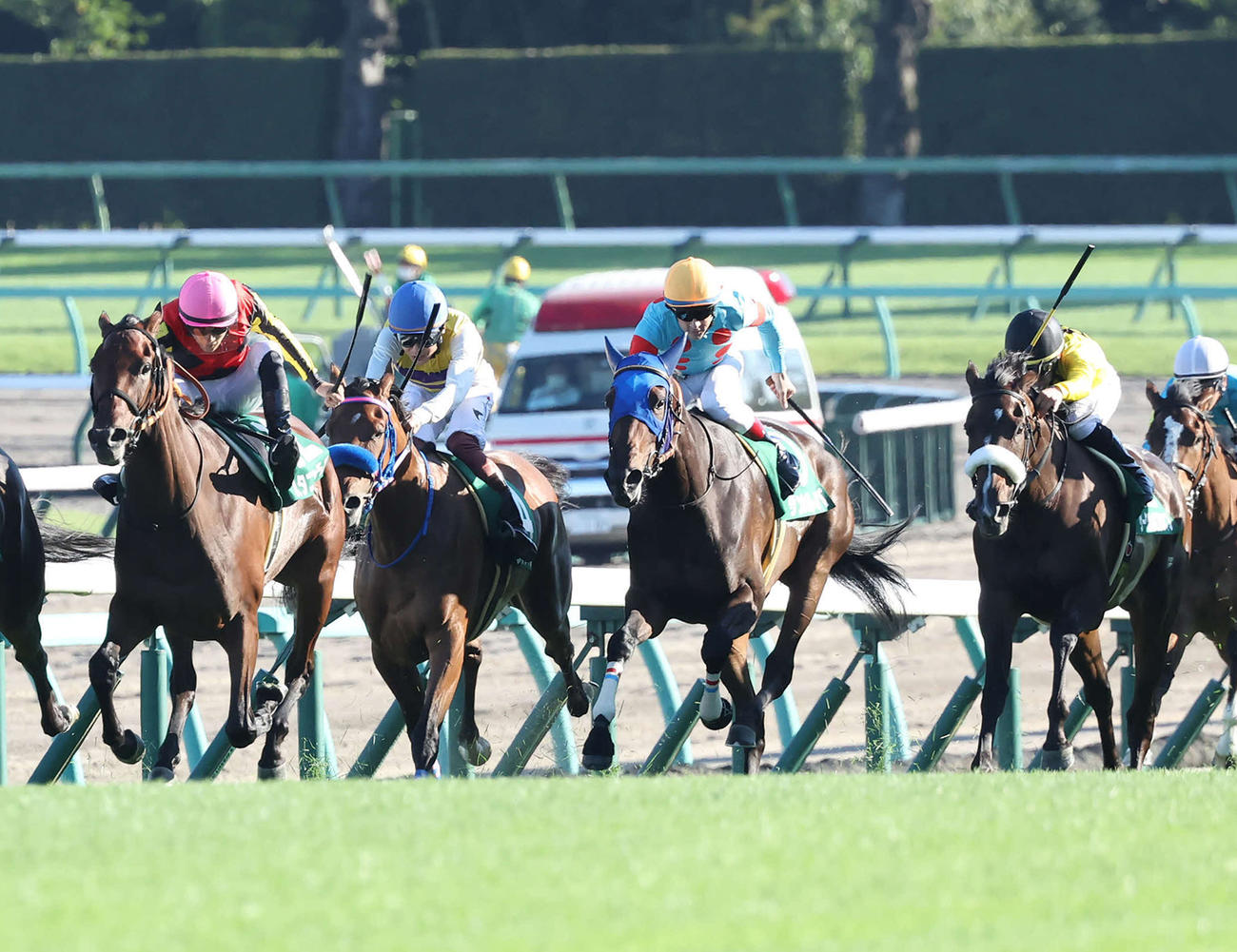 10日、紫苑S4着に敗れたサークルオブライフ（右端）。左端は勝ったスタニングローズ