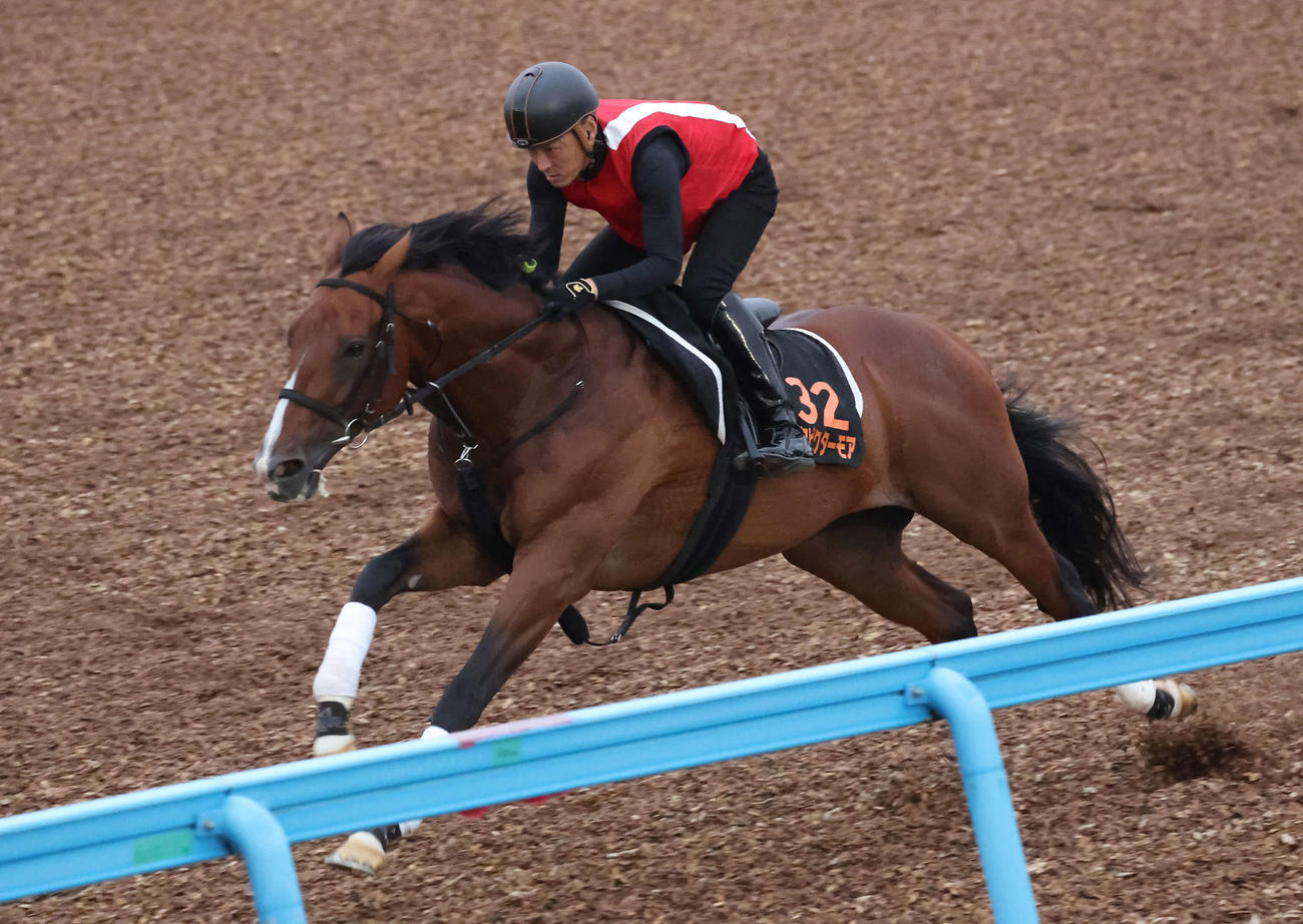アスクビクターモアは美浦ウッドを単走で追い切られた（撮影・丹羽敏通）