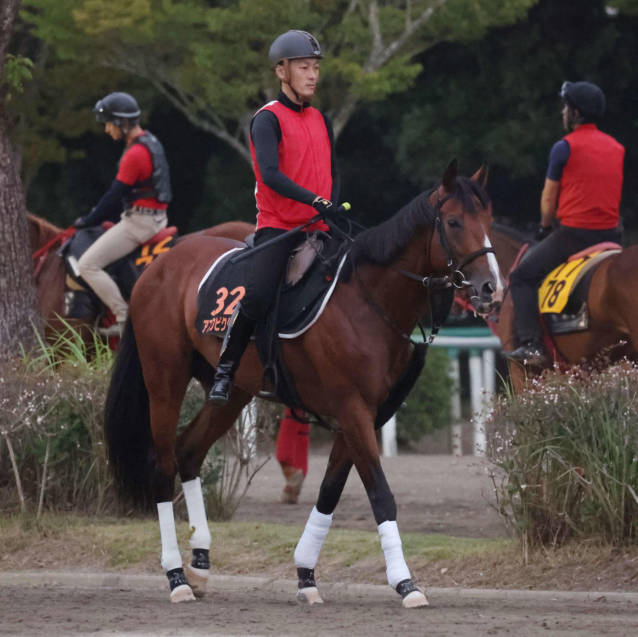 輪乗りをして馬場の開門を待つアスクビクターモア（撮影・丹羽敏通）