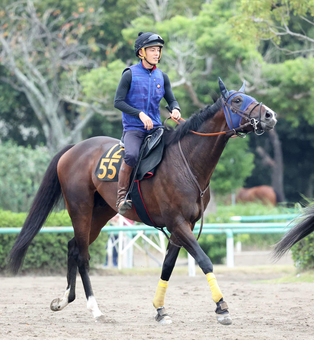 15日、乗り運動するベジャール（撮影・丹羽敏通）