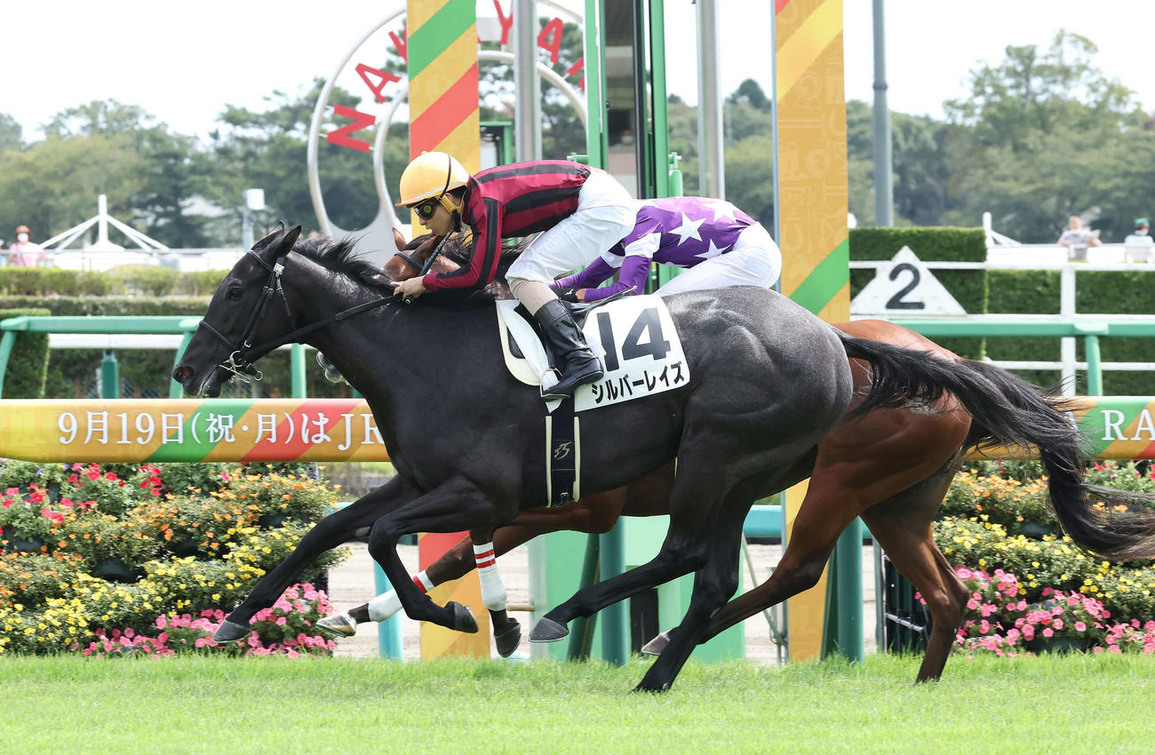 中山3R、2歳未勝利を制したシルバーレイズと木幡巧騎手（撮影・丹羽敏通）