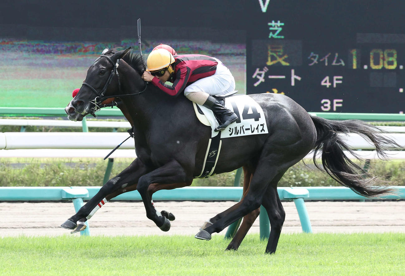 中山3R、2歳未勝利を制したシルバーレイズと木幡巧騎手（撮影・丹羽敏通）