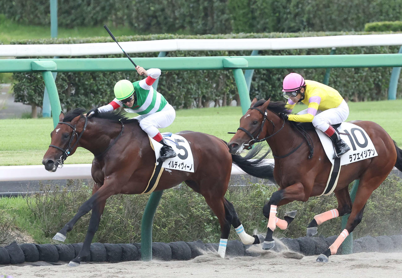 中山4R、デビュー戦を逃げ切ったイルディヴィーノとルメール騎手（左）（撮影・丹羽敏通）