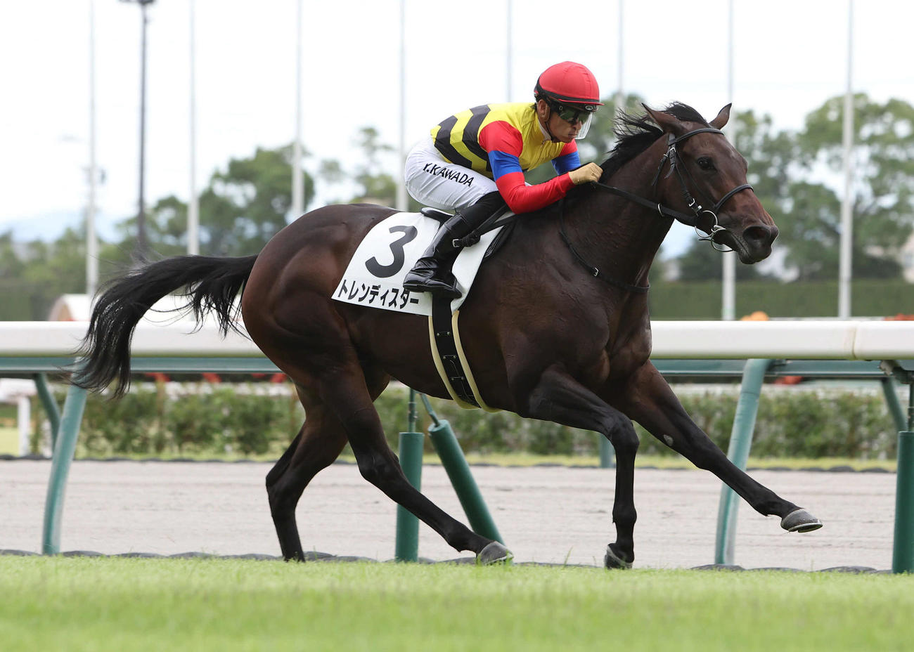 逃げ切って新馬戦を制したトレンディスター（撮影・白石智彦）