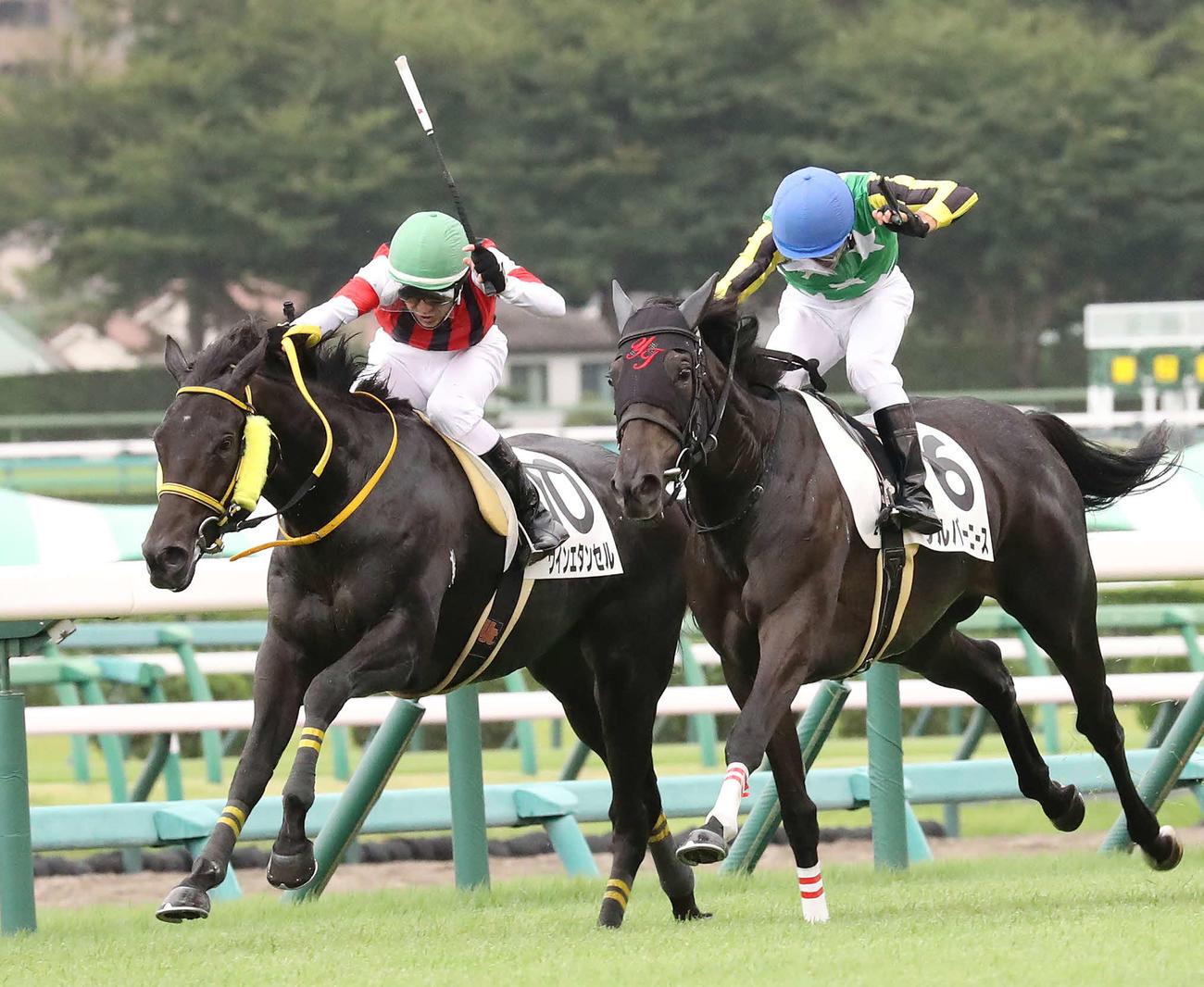 中山2R、シルバーニース（右）との競り合いを制して2歳未勝利戦に勝利したウインエタンセルと丹内騎手（撮影・丹羽敏通）
