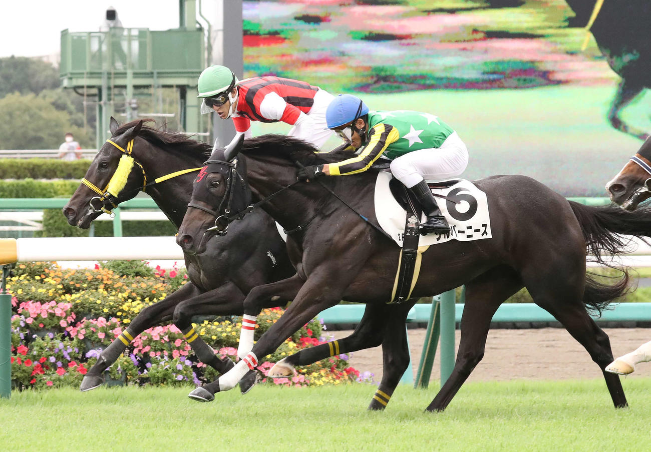 中山2R、シルバーニース（手前）との競り合いを制して2歳未勝利戦に勝利したウインエタンセルと丹内騎手（撮影・丹羽敏通）