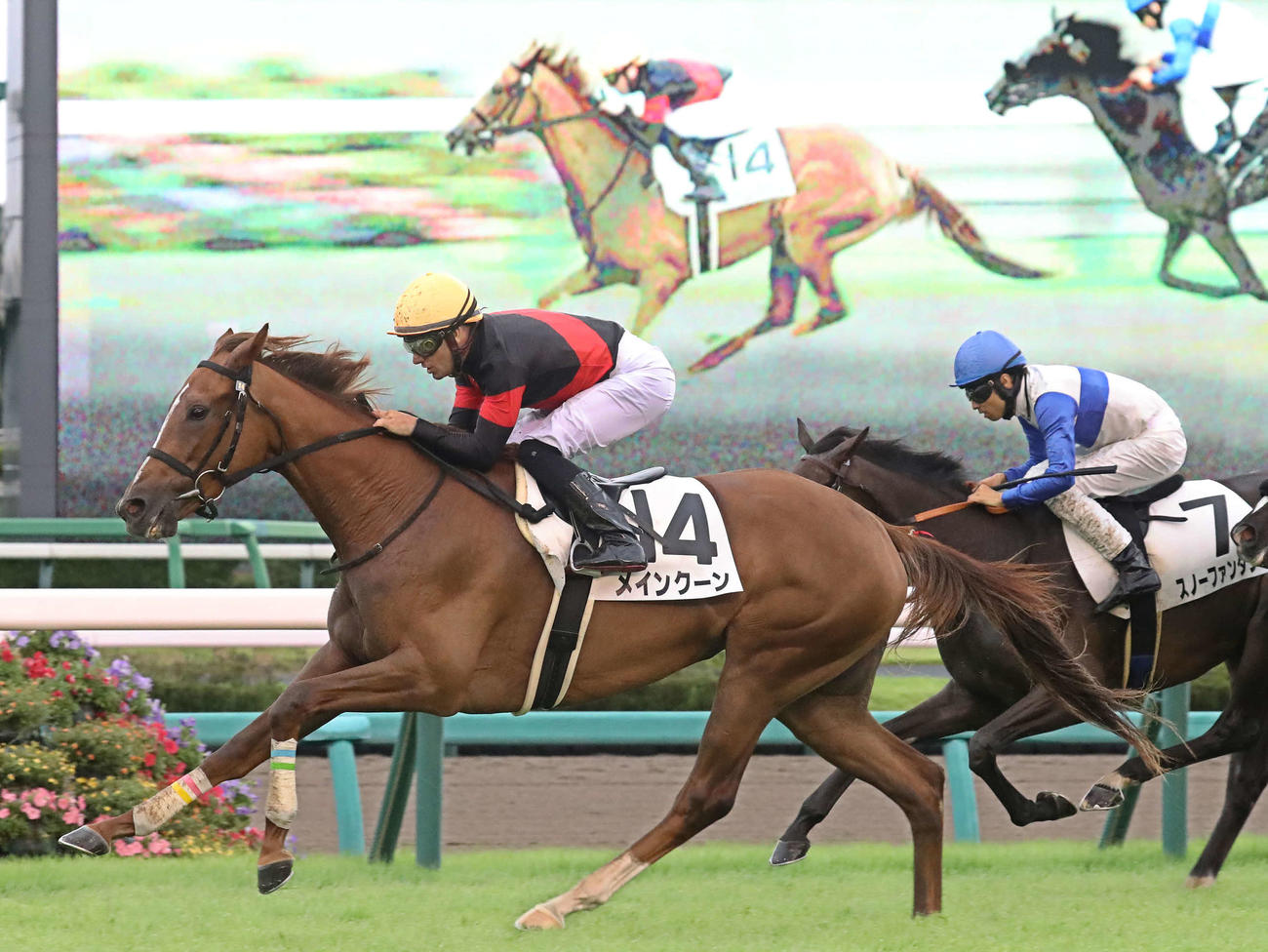 中山5R、2歳新馬戦を制したメインクーンとM・デムーロ騎手（左）（撮影・丹羽敏通）