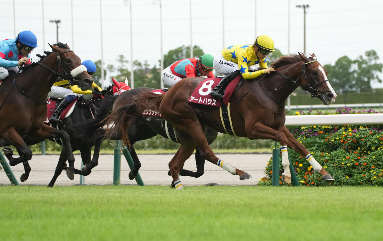 ローズSを制したアートハウス（撮影・森本幸一）