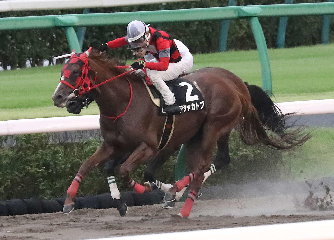 ラジオ日本賞を制したアシャカトブと丹内騎手（撮影・丹羽敏通）