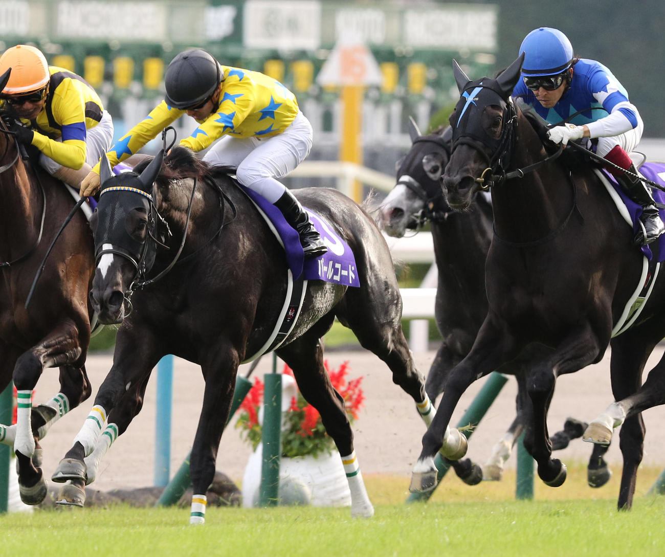 16年10月、秋華賞で優勝したヴィブロス（右）に続き2着に入ったパールコード