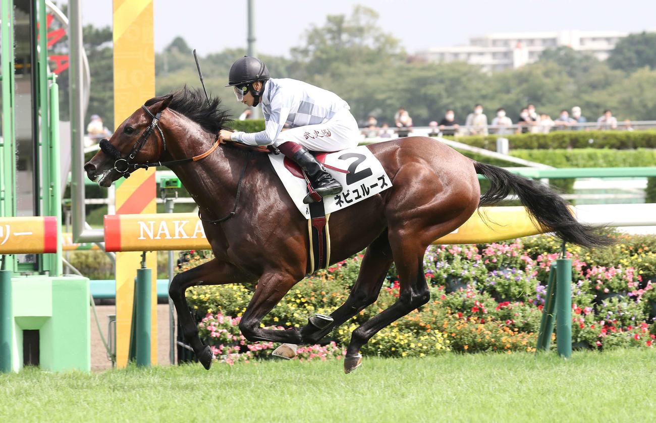 中山6R新馬戦を制したネビュルーズと横山武騎手（撮影・丹羽敏通）