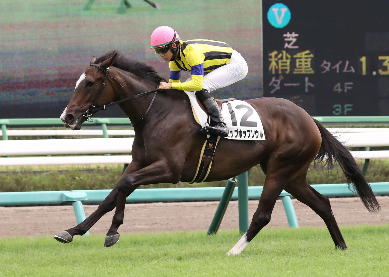 中山5R新馬戦を制したヒップホップソウルと松山騎手（撮影・丹羽敏通）