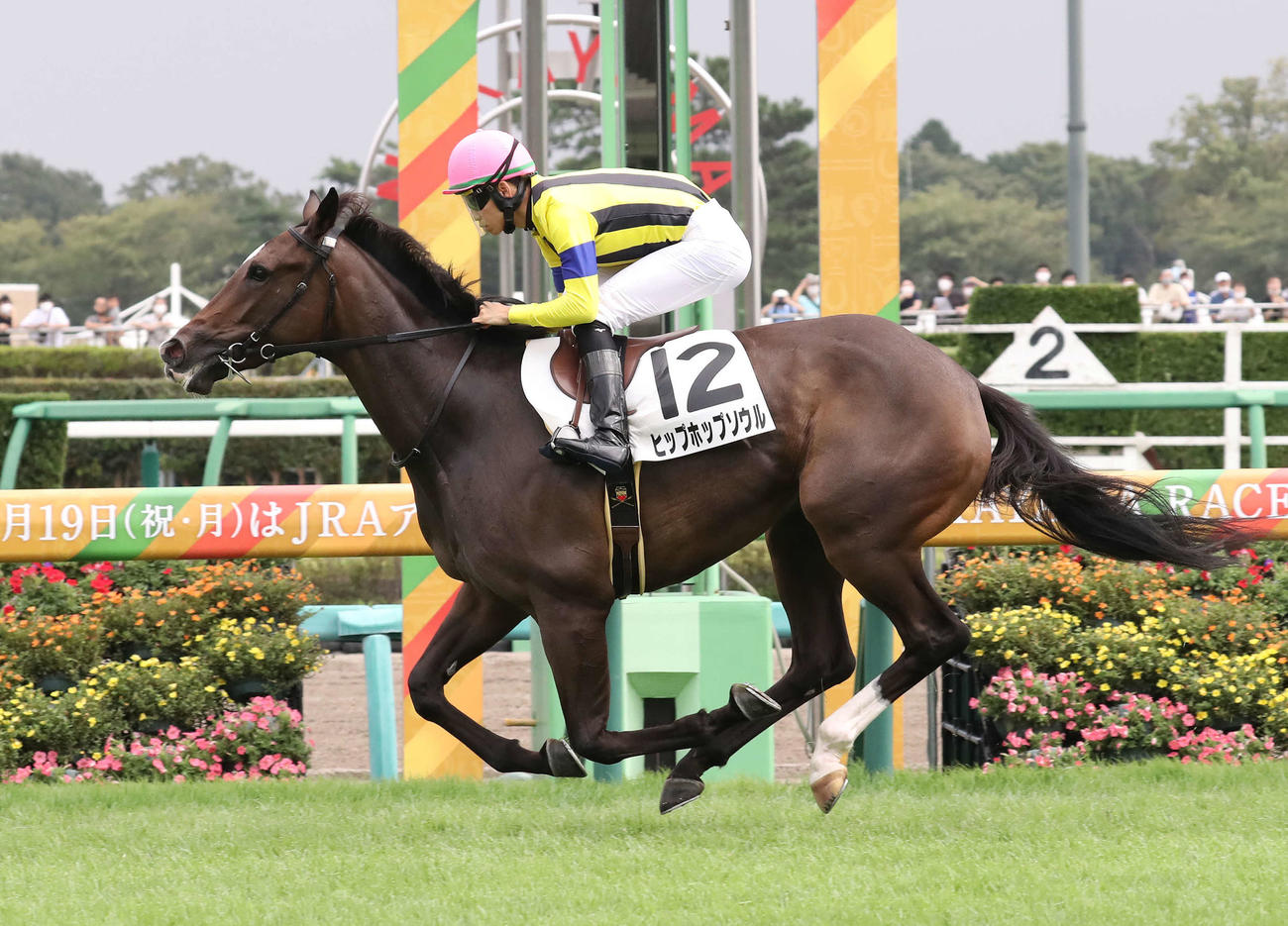 中山5R新馬戦を制したヒップホップソウルと松山騎手（撮影・丹羽敏通）