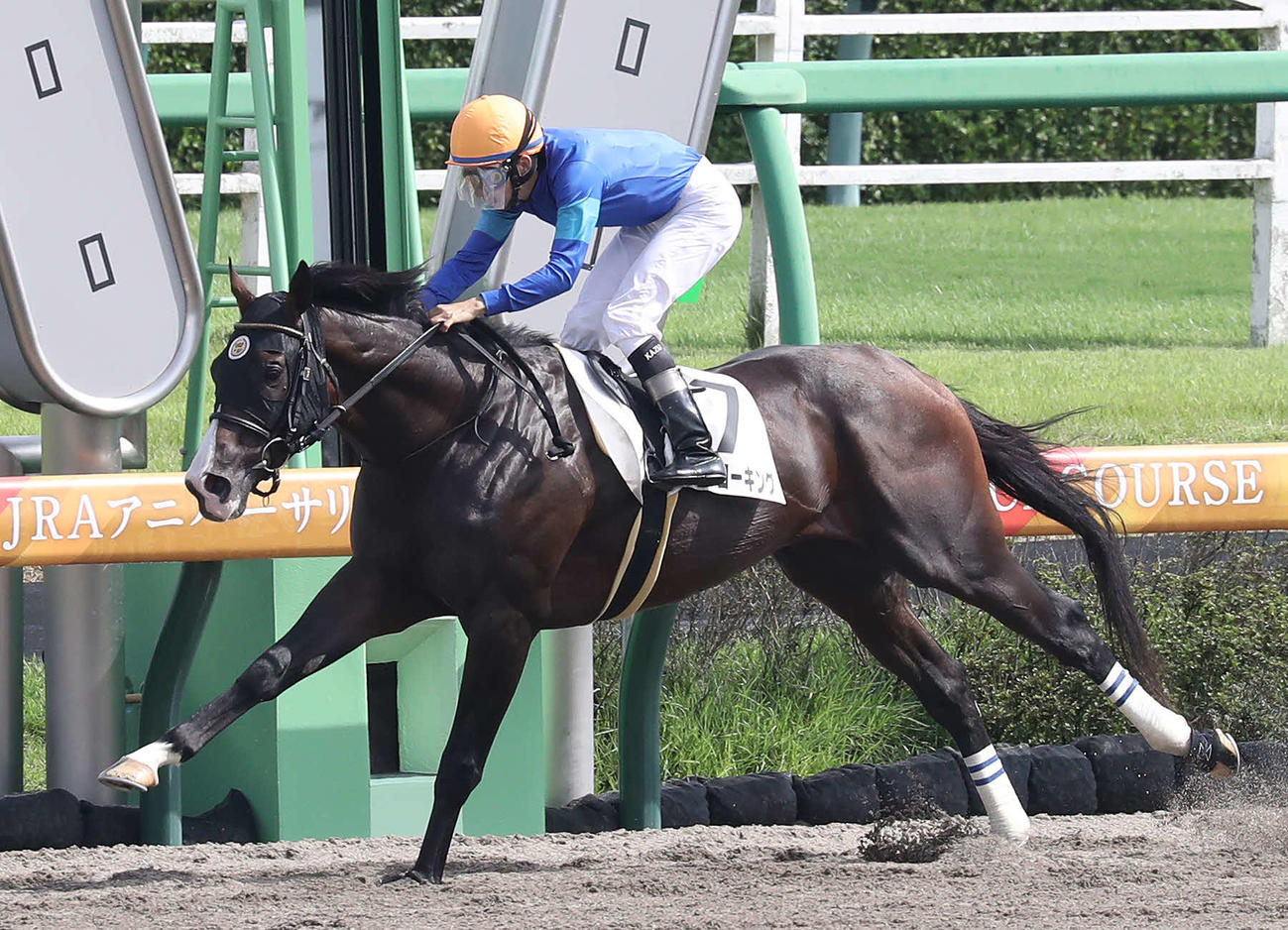 中山7R、3歳1勝クラスを制したパワーブローキングと横山和生騎手（撮影・丹羽敏通）