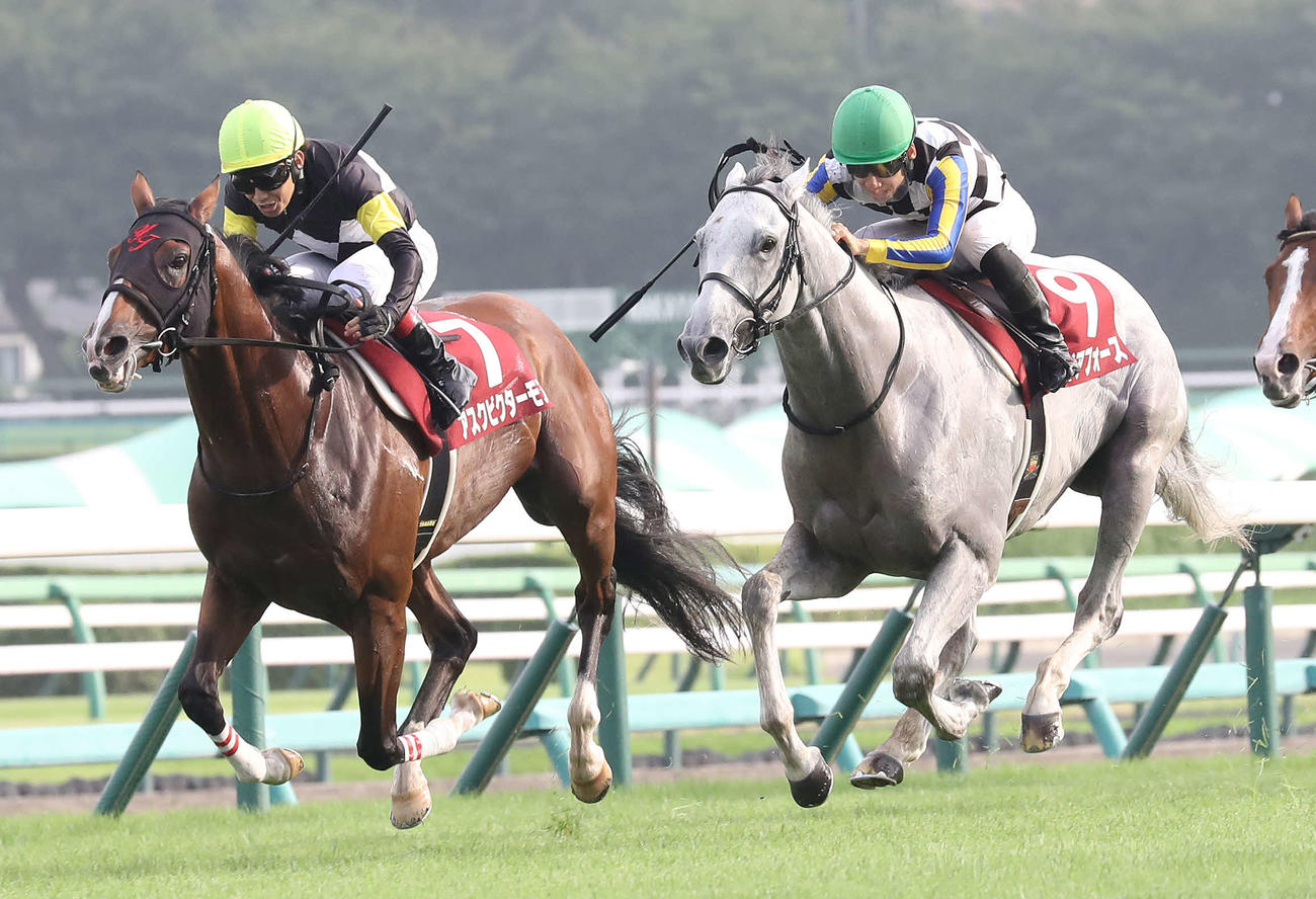 アスクビクターモア（左）との競り合いを制しセントライト記念に勝利したガイアフォース（撮影・丹羽敏通）