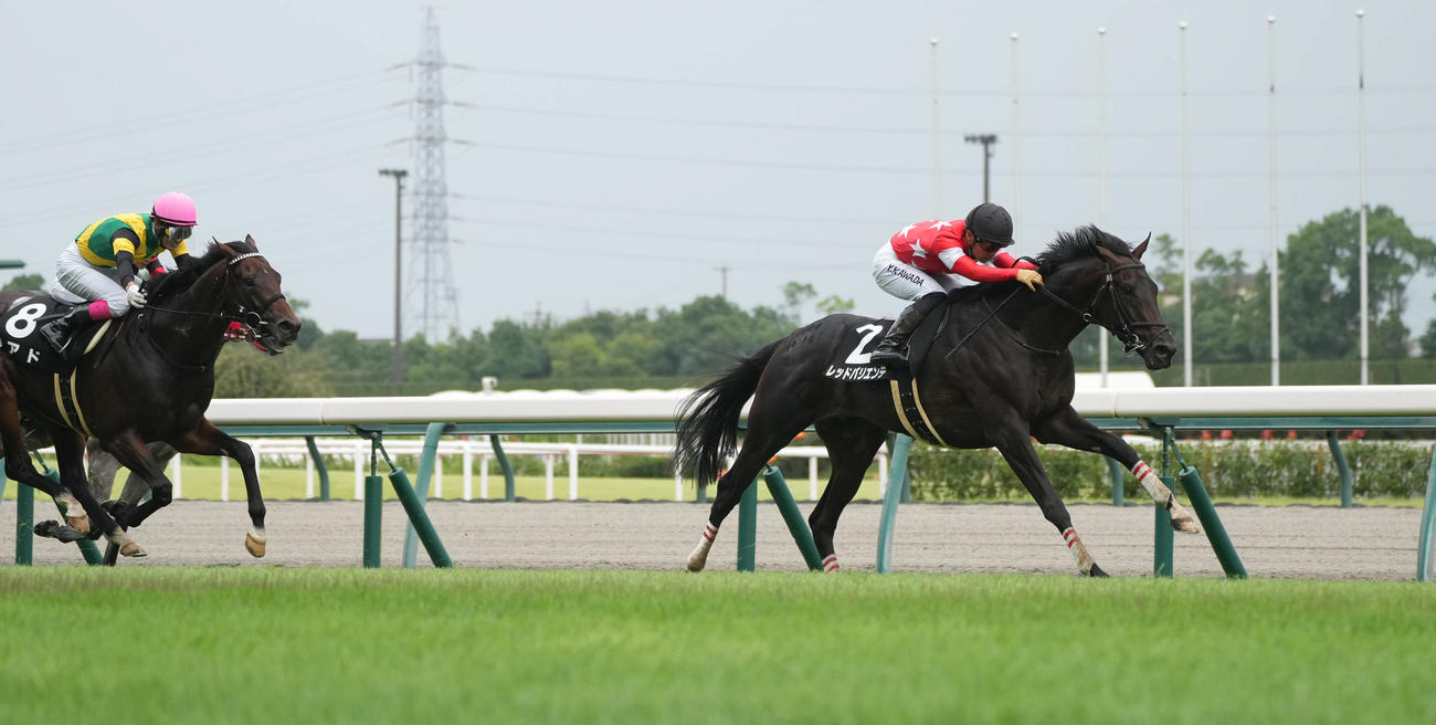 レッドバリエンテが金山特別を制し、鞍上の川田騎手はJRA通算1800勝を達成（撮影・森本幸一）